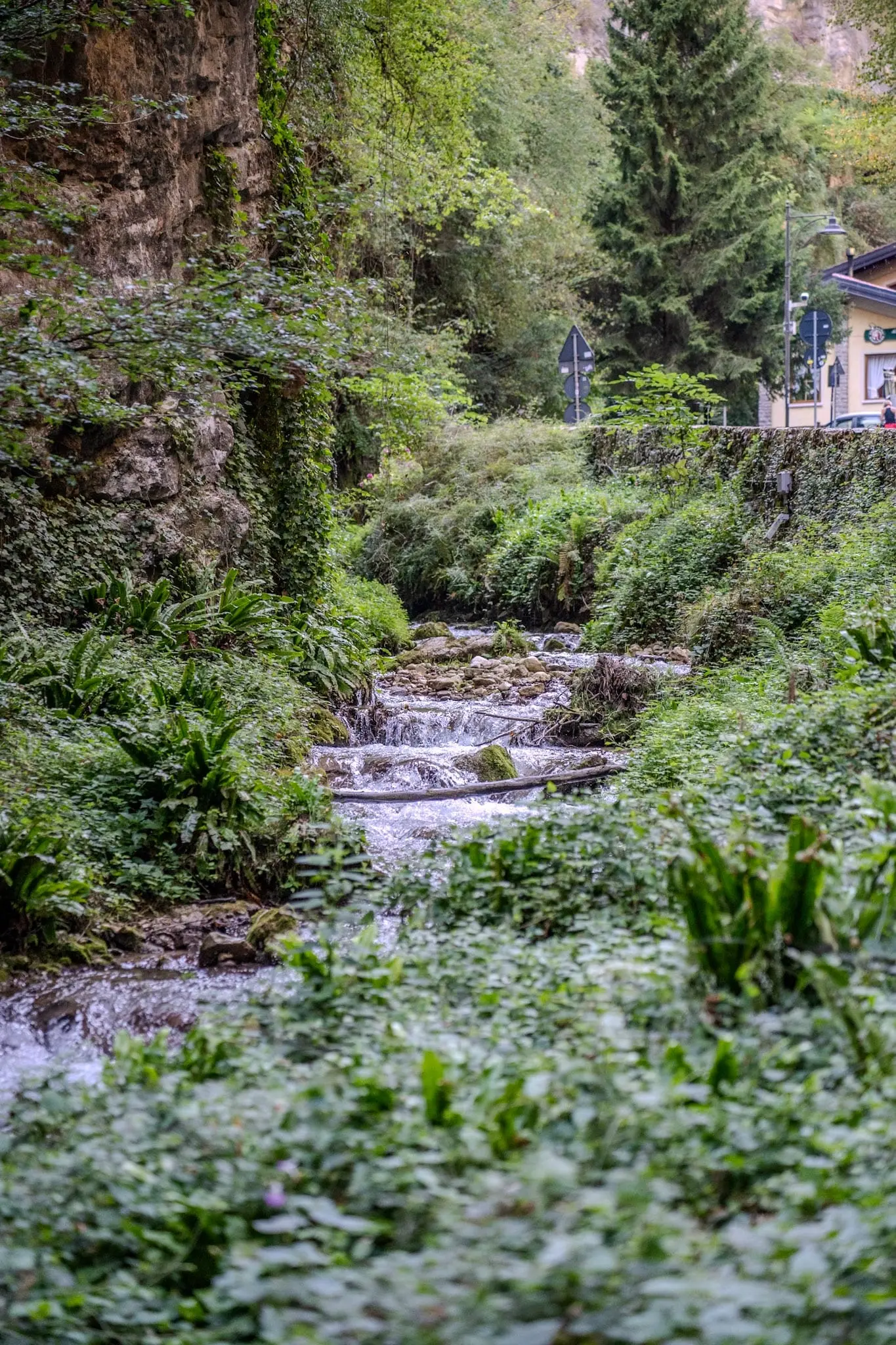 Kleiner Wasserfall in einem grünen Garten