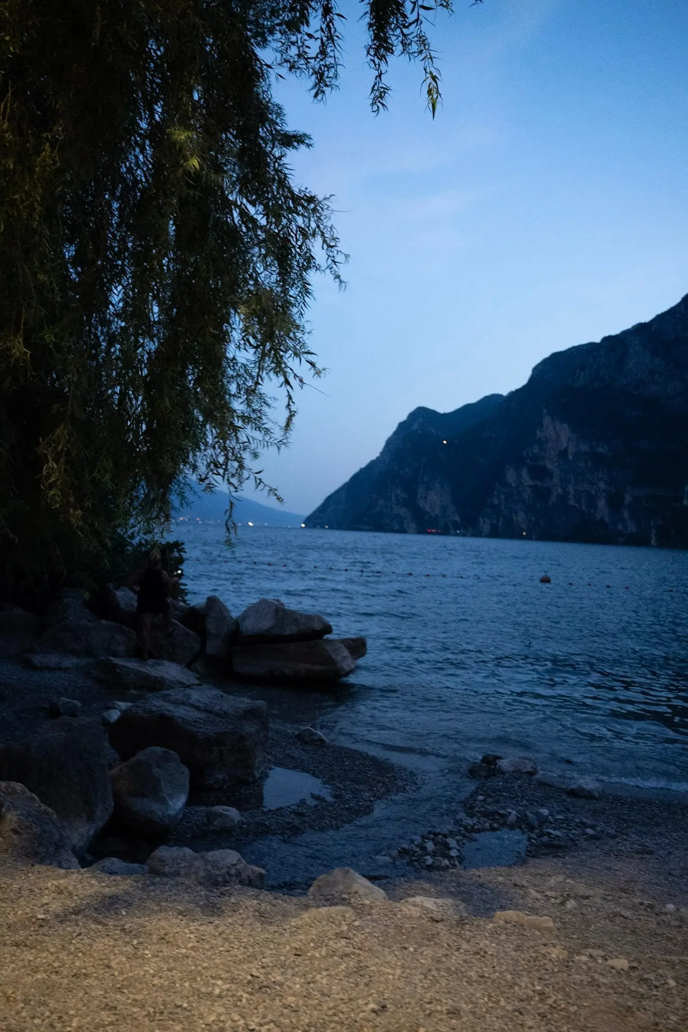 Blick unter Weidenzweigen auf einen Bergsee in der Dämmerung