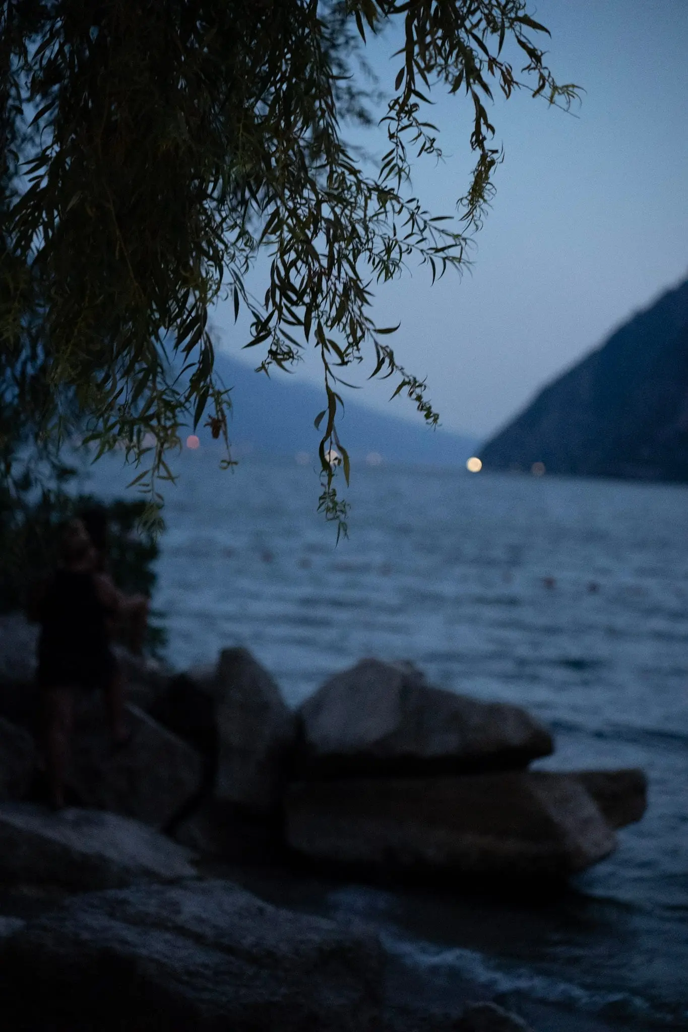 Abendstimmung am Seeufer unter Weidenzweigen
