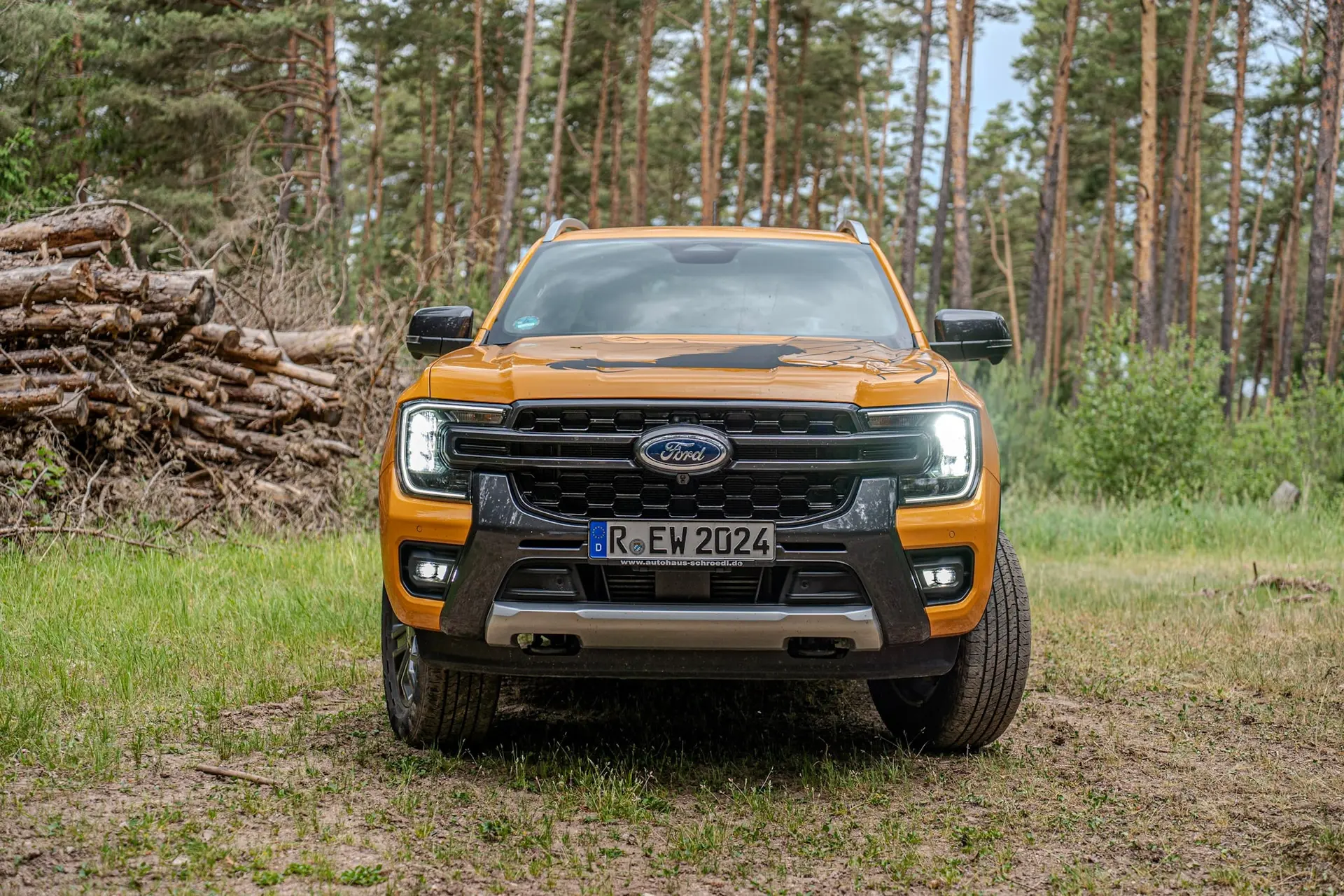 Front des orangefarbenen Pick-ups vor gestapeltem Holz im Wald