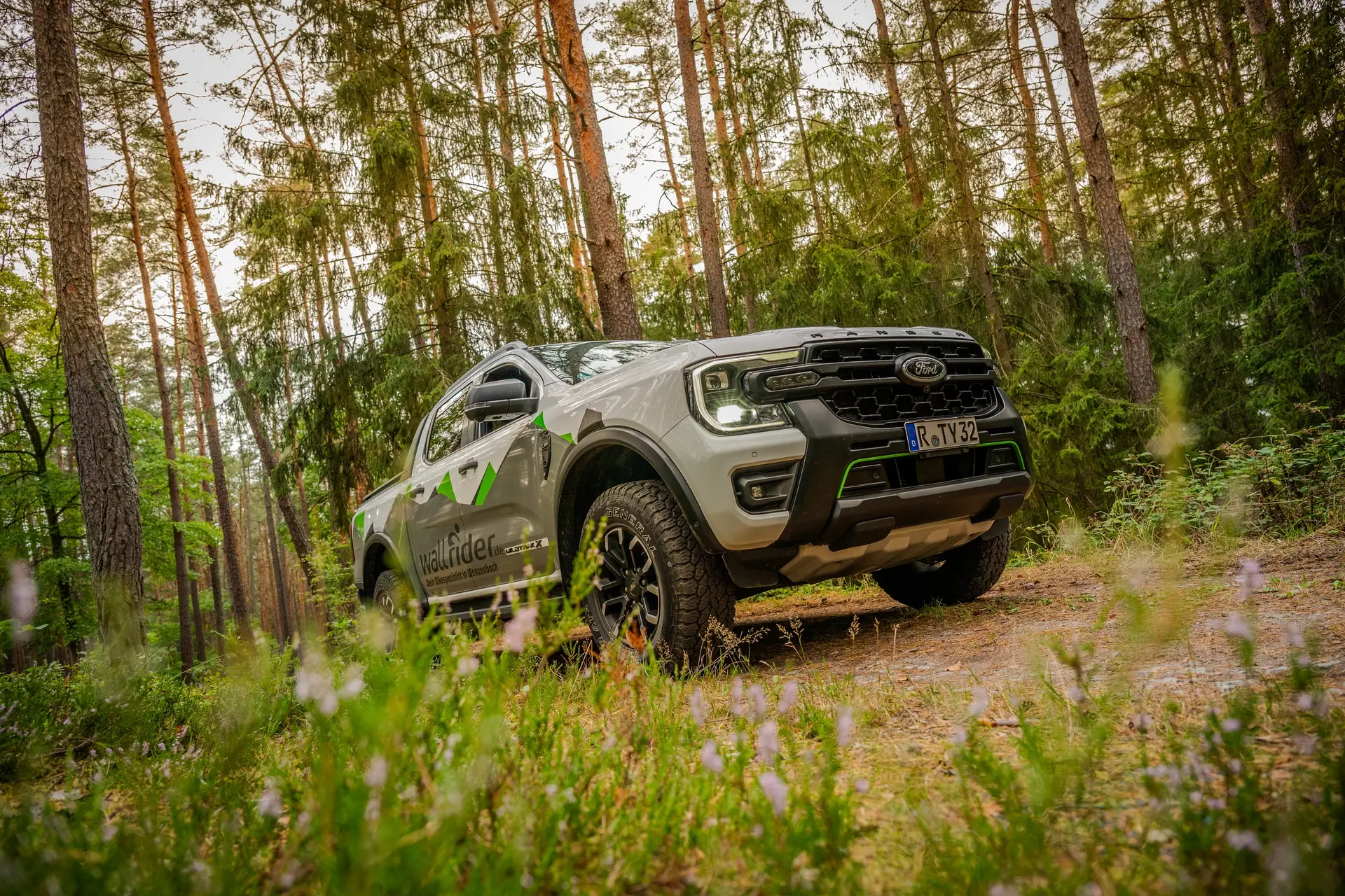 Grauer Pick-up mit Firmenbeschriftung im Kiefernwald